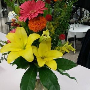 Meet your Posher, Marie